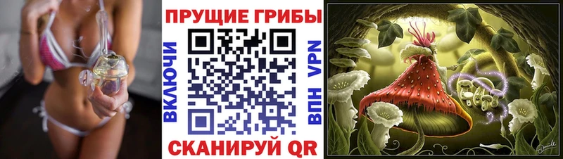 гидра ТОР  Гагарин  Псилоцибиновые грибы мицелий  хочу  