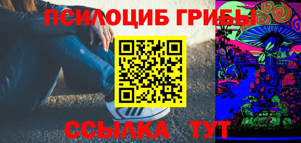 Псилоцибиновые грибы Psilocybine cubensis Гагарин