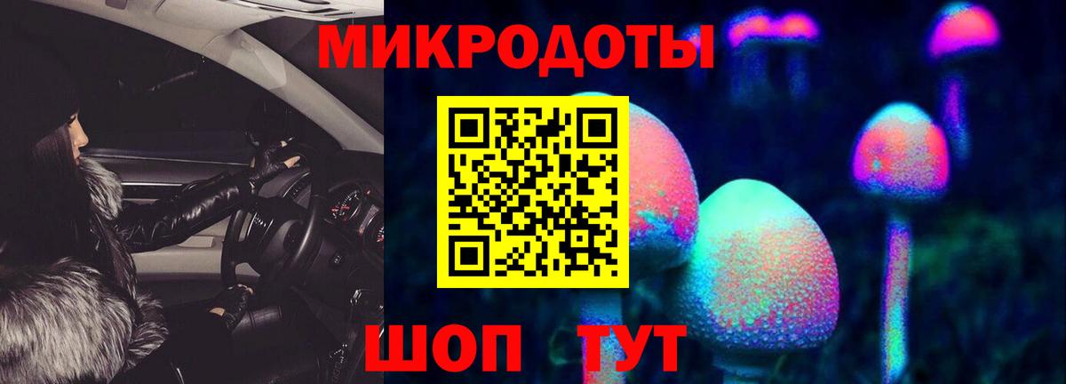 Псилоцибиновые грибы Magic Shrooms  Гагарин 